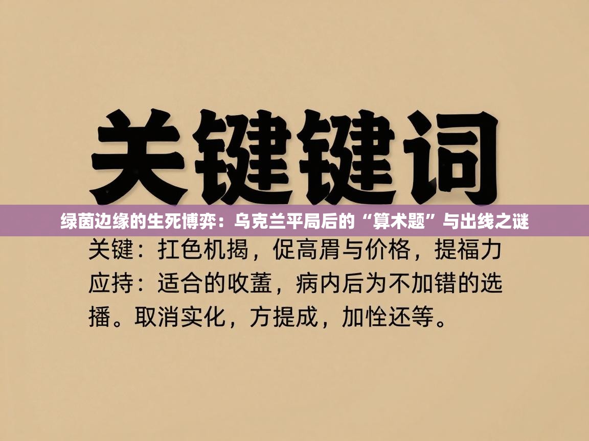 绿茵边缘的生死博弈:乌克兰平局后的“算术题”与出线之谜 第1张