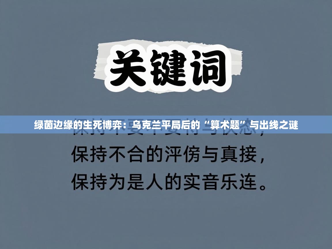 绿茵边缘的生死博弈:乌克兰平局后的“算术题”与出线之谜 第2张