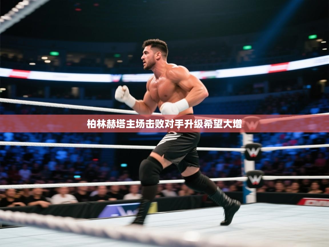 柏林赫塔主场击败对手升级希望大增 第2张