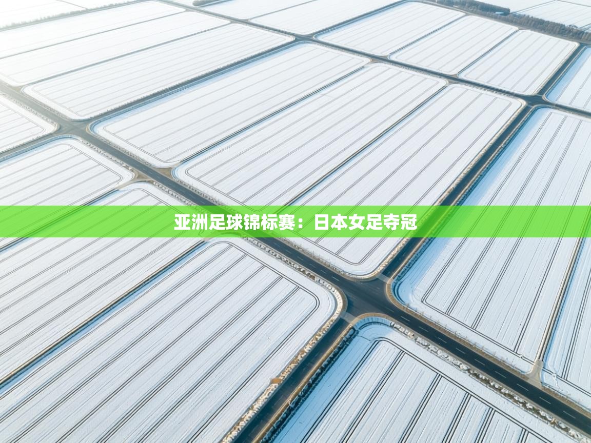 亚洲足球锦标赛：日本女足夺冠  第1张